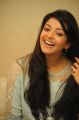 Actress Kajal Agarwal Cute Smile Photos at Sarocharu Movie Interview