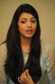 Telugu Actress Kajal Agarwal New Cute Photos at Sarocharu Interview