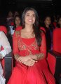 Kajal Agarwal New Cute Smile Stills