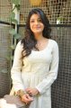 Beautiful Kajal Agarwal Photoshoot Gallery