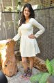 Kajal Agarwal Cute Photoshoot Stills