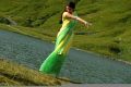 Thuppaki Kajal Agarwal Hot Green Yellow Saree Stills