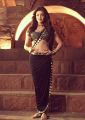 Actress Kajal Agarwal Hot in Pakka Local Song @ Janatha Garage Movie