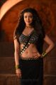 Actress Kajal Agarwal Hot in Pakka Local Song @ Janatha Garage Movie
