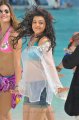 Kajal Agarwal Hot Transparent Dress Stills