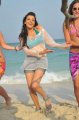 Hot Kajal Agarwal in Sir Osthara Pics