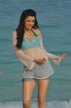 Hot Kajal Agarwal in Sir Osthara Businessman Song