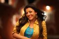 Telugu Actress Kajal Hot Photos in Sarocharu Movie