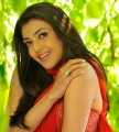 Kajal Agarwal Hot Saree Photos @ Veera Movie