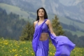 Kajal Agarwal Hot Saree Photos @ Veera Movie