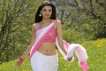 Kajal Agarwal Hot Saree Photos @ Veera Movie