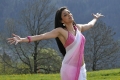 Kajal Agarwal Hot Saree Photos @ Veera Movie