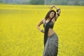 Kajal Agarwal Hot Saree Photos @ Veera Movie