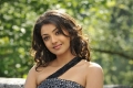 Kajal Agarwal Hot Saree Photos @ Veera Movie