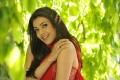 Kajal Agarwal Hot Saree Photos @ Veera Movie