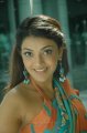 Kajal Agarwal Hot Saree Pics