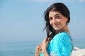 Cute Kajal Agarwal Pictures