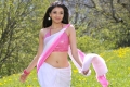 Kajal Agarwal Hot Photos Stills at Veera Telugu Movie