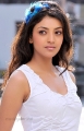 Kajal Agarwal Hot Photos Stills at Veera Telugu Movie