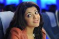 Actress Kajal Agarwal Latest Images in Sir Vacharu Movie