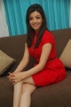 Kajal Agarwal Latest New Cute Photo Shoot Pics