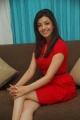 Kajal Agarwal Latest New Cute Photo Shoot Pics