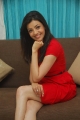 Kajal Agarwal Latest New Cute Photo Shoot Pics