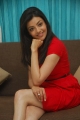 Kajal Agarwal Latest New Cute Photo Shoot Pics