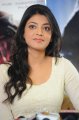 Kajal Agarwal Latest Cute Photos Gallery