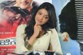 Kajal Agarwal Latest Cute Photos Gallery