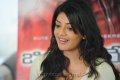 Kajal Agarwal Cute Smile Images