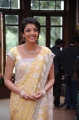 Kajal Agarwal Saree Pics Photos in Mr Perfect