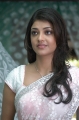 Kajal Agarwal Saree Pics Photos in Mr Perfect