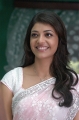 Kajal Agarwal Saree Pics Photos in Mr Perfect