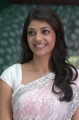 Kajal Agarwal Saree Pics Photos in Mr Perfect