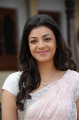 Kajal Agarwal Saree Pics Photos in Mr Perfect