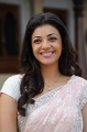 Kajal Agarwal Saree Pics Photos in Mr Perfect