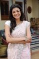 Kajal Agarwal Saree Pics Photos in Mr Perfect