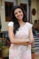 Kajal Agarwal Saree Pics Photos in Mr Perfect