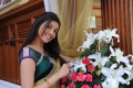 Kajal Agarwal Saree Pics Photos in Mr Perfect