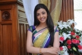 Kajal Agarwal Saree Pics Photos in Mr Perfect