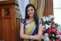 Kajal Agarwal Saree Pics Photos in Mr Perfect