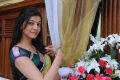 Kajal Agarwal Saree Pics Photos in Mr Perfect