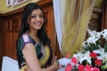 Kajal Agarwal Saree Pics Photos in Mr Perfect