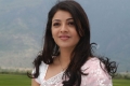 Kajal Agarwal Saree Pics Photos in Mr Perfect