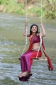 Kajal Agarwal Unseen Hot Pics in Saree @ Mr Perfect Movie
