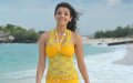 Businessman Kajal Agarwal Wallpapers