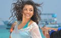 Businessman Kajal Wallpapers