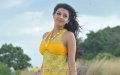 Businessman Kajal Agarwal HD Widescreen Wallpapers