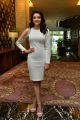 Actress Kajal Agarwal New Pictures @ MLA Movie Success Meet